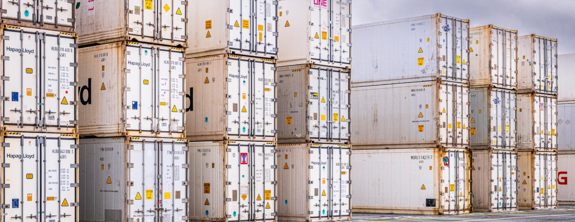 Alignement de conteneurs reefer stockés sur le terminal de France du port du Havre