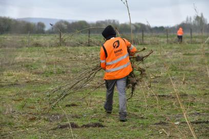 Agrandir l'image, fenêtre modale