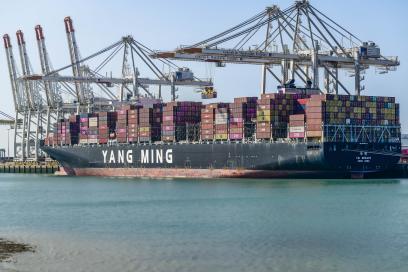 Enlarge image, modal window