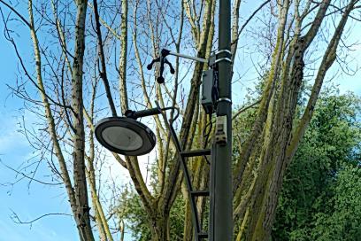 Meduse installé sur un port au port de PSMO - Agrandir l'image, fenêtre modale