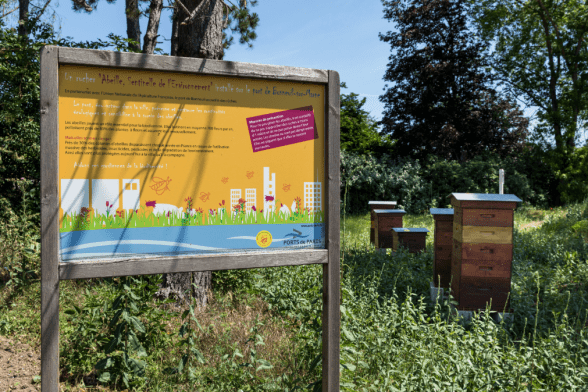 Ruches installées sur le port de Bonneuil-sur-Marne - Agrandir l'image, fenêtre modale